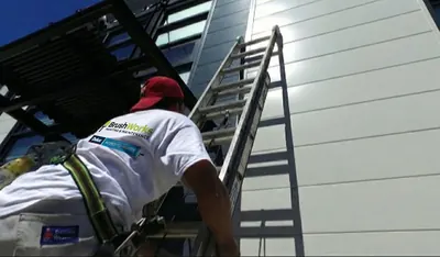 Painter wearing a safety harness climbs a ladder beside freshly painted light-grey exterior cladding