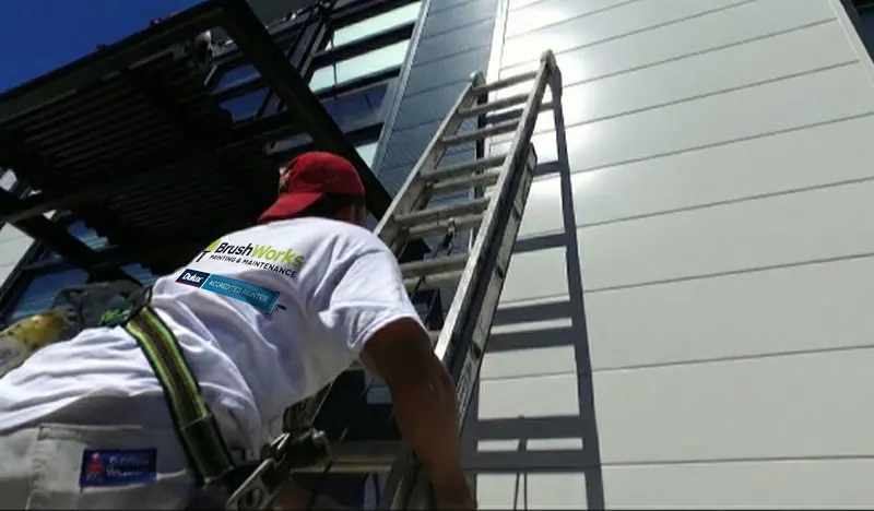 Painter wearing a safety harness climbs a ladder beside freshly painted light-grey exterior cladding